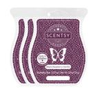 Barra de cera sem pavio 3,2 oz Black Raspberry Vanilla, pacote com 3 Barra de cera sem pavio 3,2 oz Black Raspberry Vanilla, pacote com 3