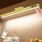 Barra de luz LED com sensor de movimento Hapfish Recarregável Gold