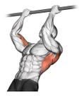 Barra Fixa De Parede Musculação e Calistenia Treinar Em Casa