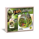 barraca dino com bolinhas inafantil t rex