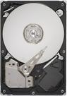 Barracuda ES.2 Serial ATA 250GB (SERVIDOR)