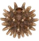 BARROCO CASTIÇAL 11x12x12cm RESINA BRONZE
