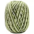 Barroco Multicolor 4/6 200g Cor 9391 Babosa - Fio de Algodão para Crochê e Tricô Barroco Multicolor 4/6 200g Cor 9391 Babosa - Fio de Algodão para Crochê e Tricô