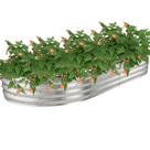 Base Alta para Jardim Oval 240x120cm e Cultivo de Hortaliças Base Alta para Jardim Oval 240x120cm e Cultivo de Hortaliças