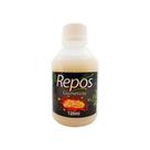 Base bomba repos 120ml fortalecora de unhas crescimento