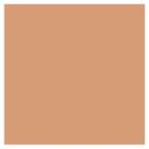 Base compacta shiseido hydrobb refil