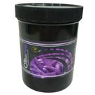 Base De Fixação Corais Bio Plug 36 Unidades - Ocean Tech Base De Fixação Corais Bio Plug 36 Unidades - Ocean Tech
