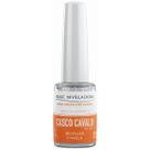 Base Niveladora Revitaliza E Nivela 8ml Casco Cavalo