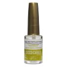 Base Pró Fortalecimento Óleo de Argan e Vitamina B5 10ml - Casco Cavalo
