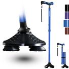 Bastão de caminhada King Pavonini Stability Dobrável 158 kg azul