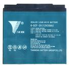 Bateria de Chumbo 12V 22Ah Ciclo Profundo para Bicicleta Elétrica