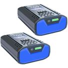 Bateria DTK KPM1040A-03 40V 6,2 Ah de íon de lítio, pacote com 2