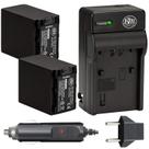 Bateria e carregador, pacote com 2 NP-FV100 para Sony HDR-CX455 CX675