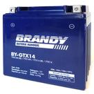 Bateria NanoGel Brandy - Para Moto DL 1000 V-strom Burgman 650 F800 GS - BY-GTX14