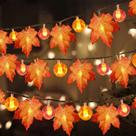 Bateria String Lights TOPLEE de 30 pés e 60 LED Pumpkin Maple