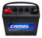 Bateria Tracionária CAMEL 8V 170Ah para Carrinho de Golfe e Ciclos Profundos Bikelete