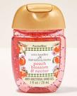 Bath & Body Works Álcool Em Gel Peach Blossom & Nectar 29ml