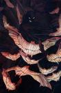 Batman - Vol. 113