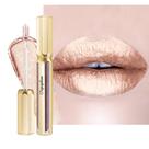 Batom Depuplum Silver Metallic Lipstick DP110 Moonlight Batom Depuplum Silver Metallic Lipstick DP110 Moonlight