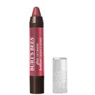Batom Lip Crayon Burt's Bees - Hidratante e 100% Natural