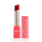 Batom Matte Super Conforto Payot 3,6g