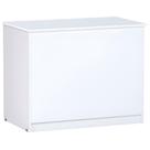 Baú Para Armazenamento De Brinquedos Multiuso Quarto Closet branco