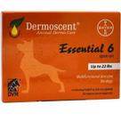 Bayer Dermoscent Essential 6 Spot On para cuidados com a pele de cães pequenos