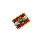BE0168-031 Bandeira Santa Catarina Brasil Patch Bordado 3,8x2,5cm