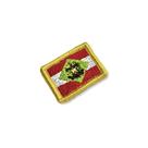 BE0168-031 Bandeira Santa Catarina Brasil Patch Bordado 3,8x2,5cm