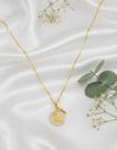 Beagle colar pets do coracao folheado a ouro 18k