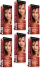 Beauty Color Tintura 76.44 RUIVO ABSOLUTO TESTE 45gr (06 Unidades) Cores VERMELHO/RUIVO Especiais Beauty Color Tintura 76.44 RUIVO ABSOLUTO TESTE 45gr (06 Unidades) Cores VERMELHO/RUIVO Especiais