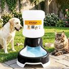 Bebedouro Automatico Pet 6L Preto Grande Galao Caes Gatos