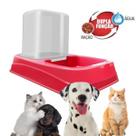 Bebedouro Cães Automático Pet Comedouro Ração Cachorro Gato