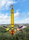 Bebedouro De Vidro Âmbar Borossilicato Com Prato Beija-Flor e Pássaros + Brinde