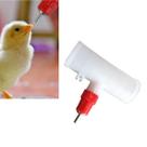 Bebedouro Niple Automático Tee Soldado 20mm Galinha 12 un Bebedouro Niple Automático Tee Soldado 20mm Galinha 12 un