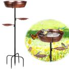 Bebedouro para Pássaros Olpchee em Metal para Área Externa 89 cm, Bronze Antiferrugem Bebedouro para Pássaros Olpchee em Metal para Área Externa 89 cm, Bronze Antiferrugem
