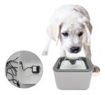 Bebedouro Pet Cachorro Gato Fonte 2.5l 110/220v Filtro Novo