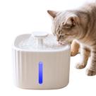 Bebedouro Pet Fonte Água Corrente LED Cães Gatos Bebedouro Pet Fonte Água Corrente LED Cães Gatos