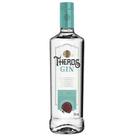 Bebida Gin Dry Salton Theros Garrafa Vidro 1 Litro Bebida Gin Dry Salton Theros Garrafa Vidro 1 Litro