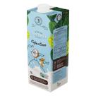 Bebida Vegetal a Tal da Castanha Caju e Coco - 1 Litro