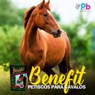 Benefit Petisco Biscoito Para Cavalos 450 Gramas Supra