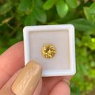Berilo Amarelo Brilhante 1,86ct