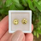 Berilo Amarelo Brilhante ø7mm Par 2,30ct
