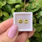 Berilo Amarelo Brilhante ø7mm Par 2,42ct Berilo Amarelo Brilhante ø7mm Par 2,42ct