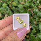 Berilo Amarelo Brilhante ø7mm SET 3,98ct Berilo Amarelo Brilhante ø7mm SET 3,98ct