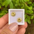 Berilo Amarelo Brilhante ø8mm Par 3,75ct Berilo Amarelo Brilhante ø8mm Par 3,75ct