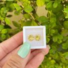 Berilo Amarelo Brilhante Par 3,04ct