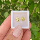Berilo Amarelo Brilhante Par ø7mm 2,22ct Berilo Amarelo Brilhante Par ø7mm 2,22ct