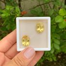 Berilo Amarelo Briolet Oval Par 16,84ct