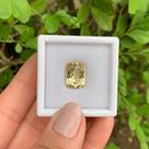 Berilo Amarelo Cushion 6,79ct